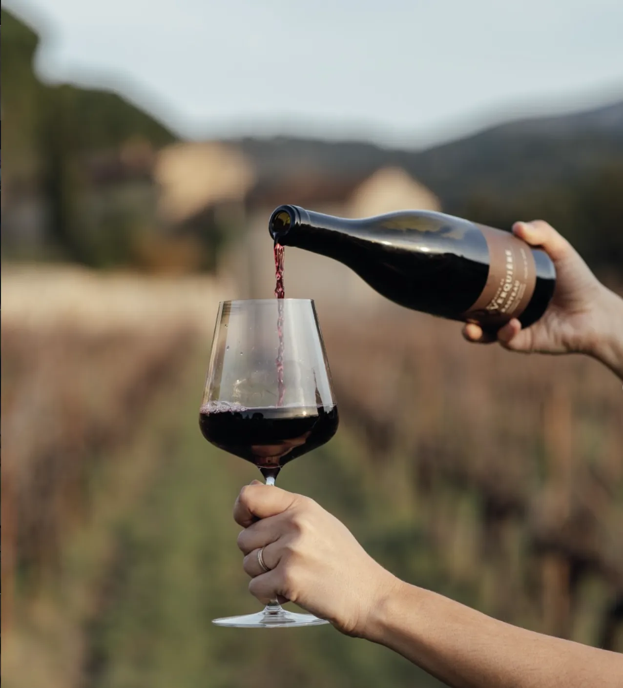 Clos Verquière, domaine viticole à Sablet (Vaucluse) : tableau de bord commercial connecté à l'ERP ISAVIGNE – cas client Wesmart