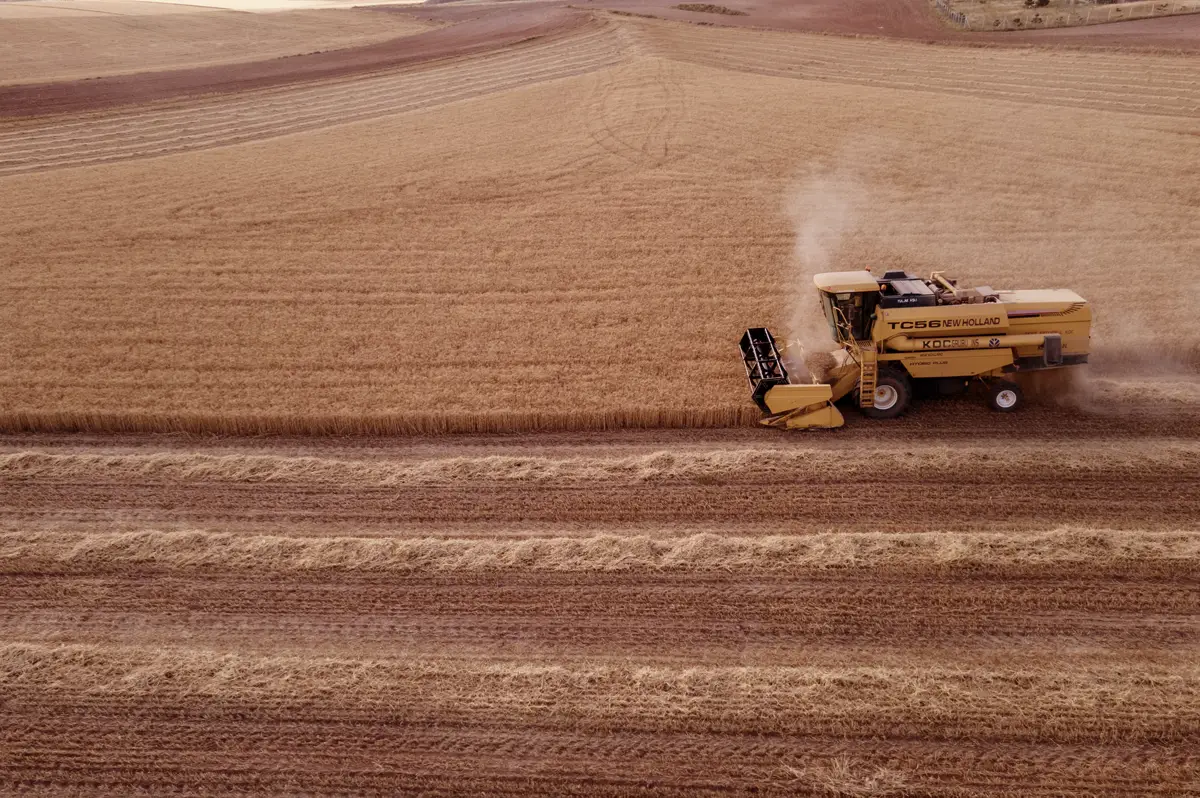 secteur agroalimentaire we smart